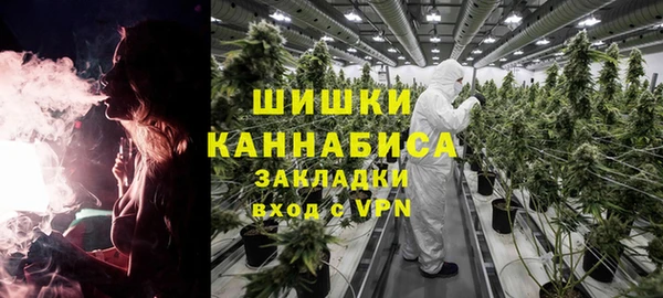 ПСИЛОЦИБИНОВЫЕ ГРИБЫ Абдулино