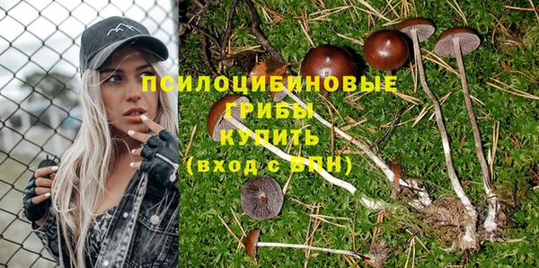 spice Пестово