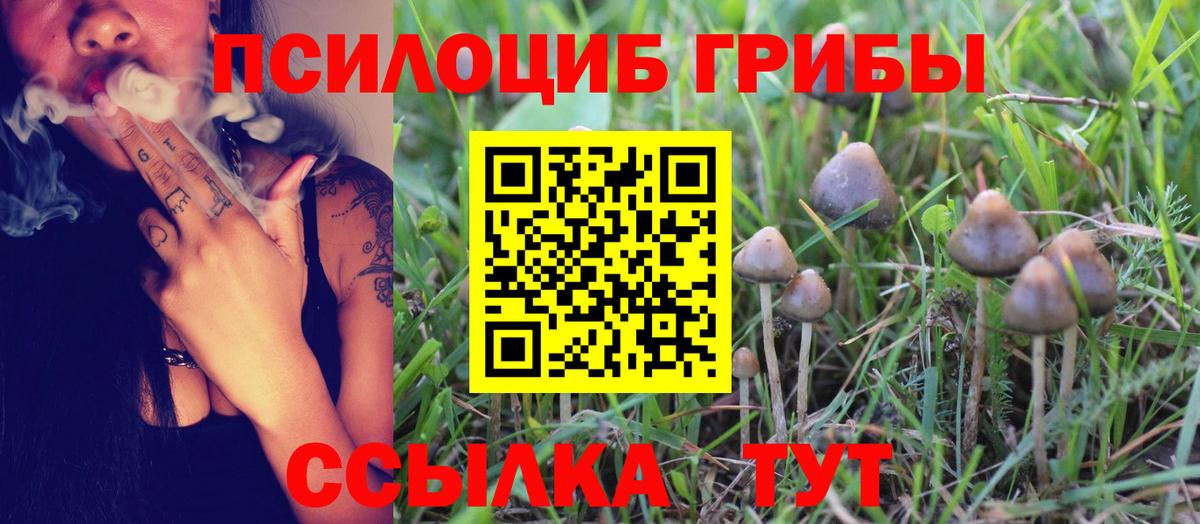 что такое   Псилоцибиновые грибы мухоморы  Вход с VPN  Белая Калитва 
